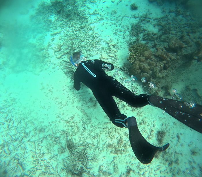 旦那さんも潜る