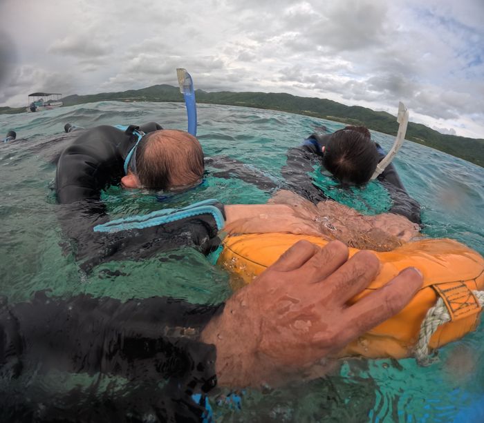 おばあちゃん、おじいちゃん