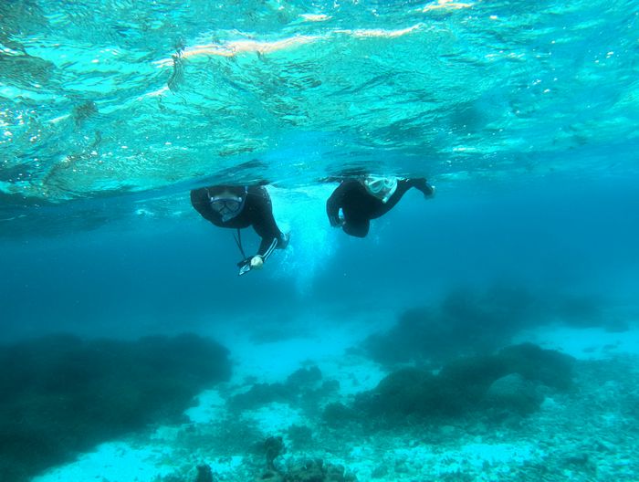 お父さん、お母さんも慣れてきました
