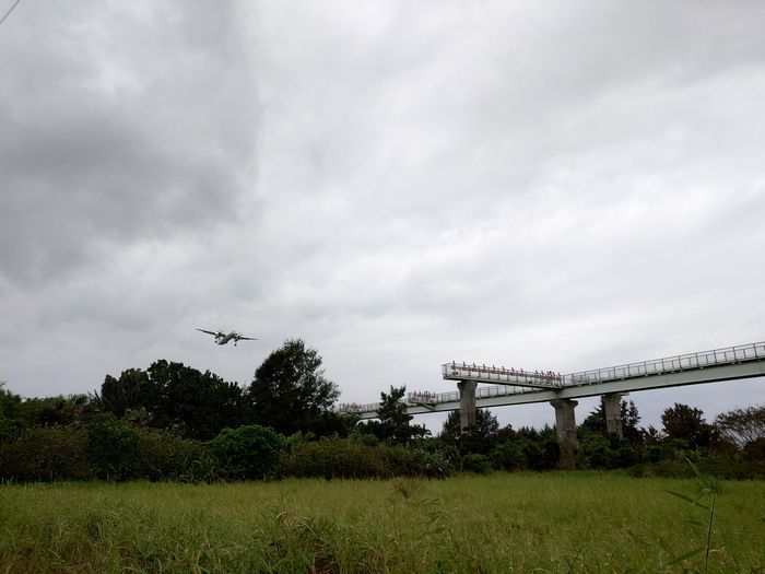 おっ！でてきました