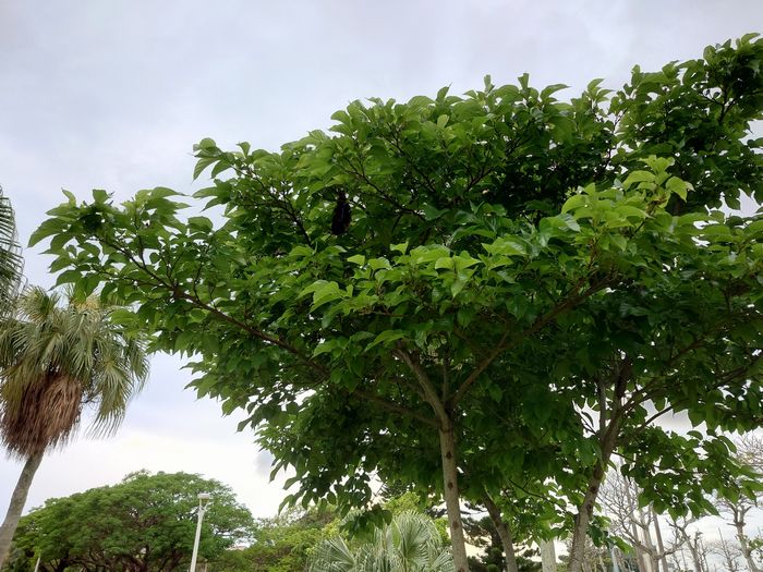 さぁどこに何がいるかわかるでしょうか？