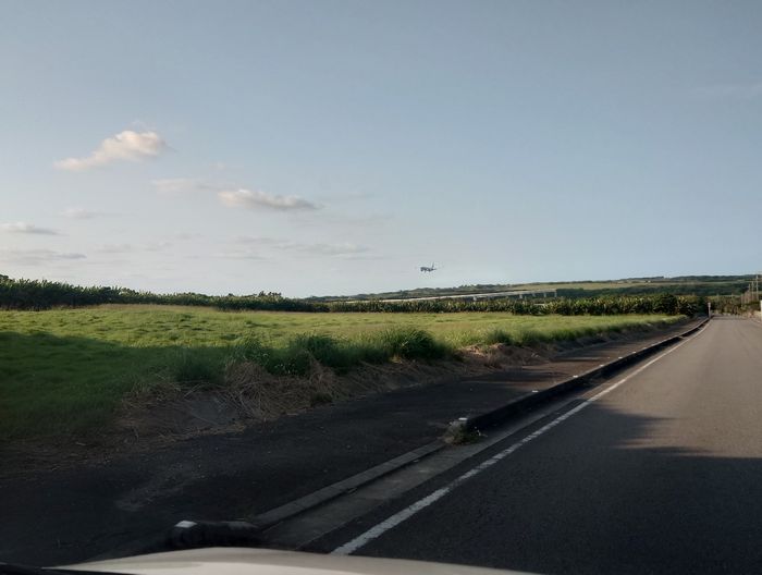 牧草地の向こうから