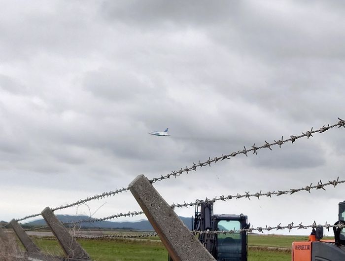 ブルーインパレス