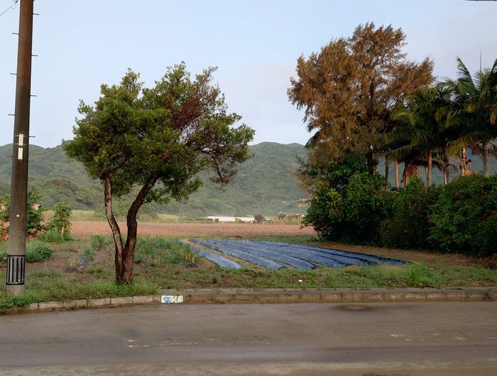 通常はこんな感じ