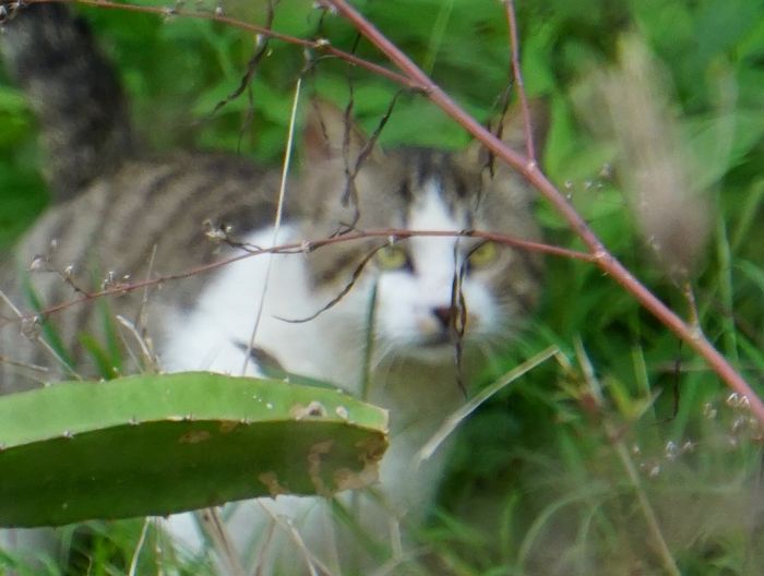 その表情は。。。
