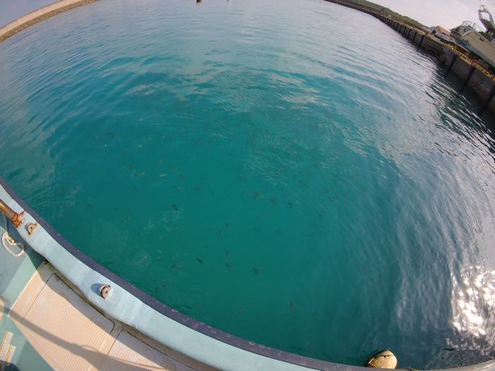 ボート上から見る