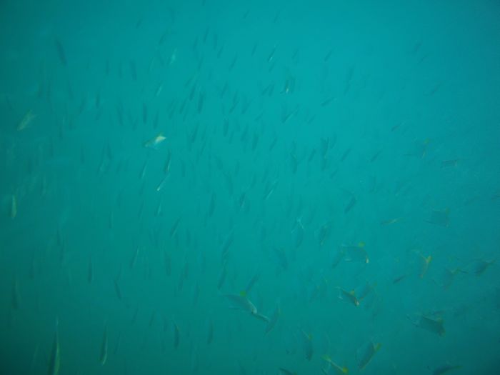 カメラを沈めると