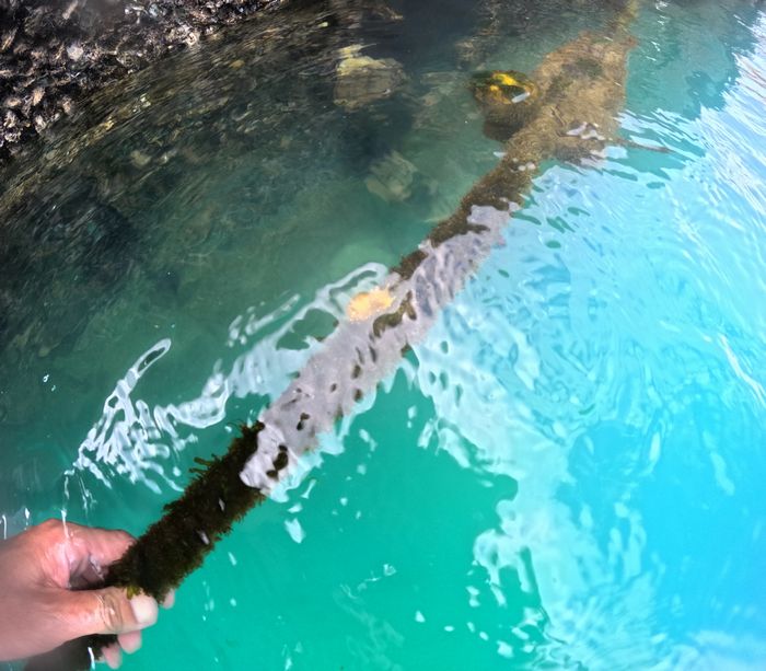 ロープを手繰り寄せてみる