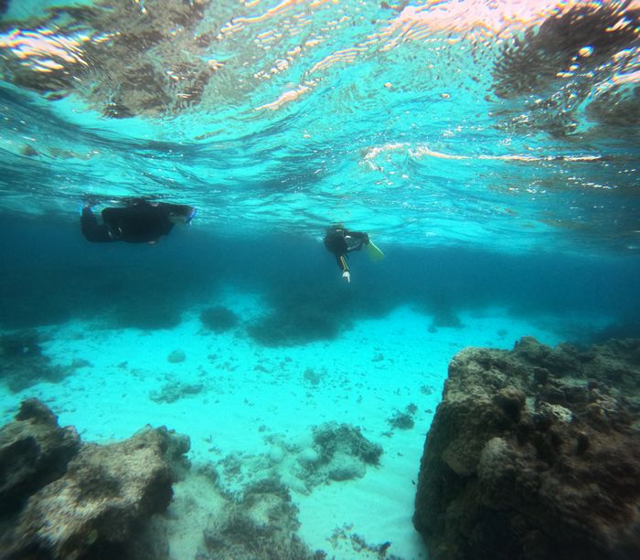 透明度高すぎる海