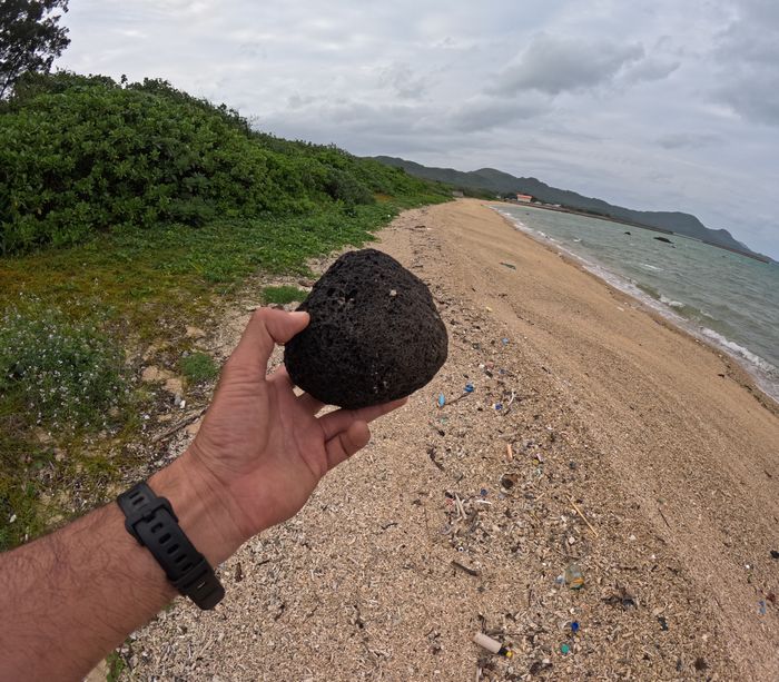 まだありますね。軽石