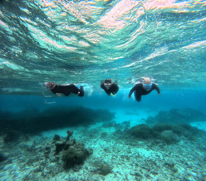 台風のリベンジシュノーケリング