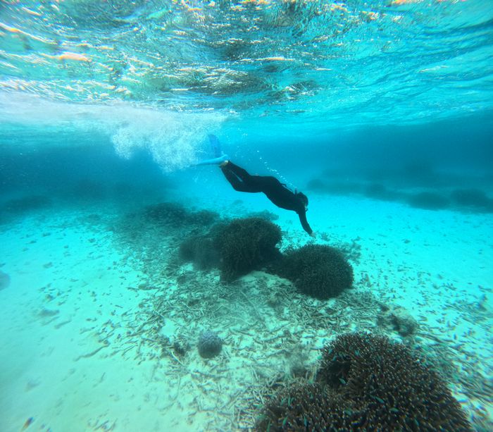 潜ってみたかった！スキンダイビング