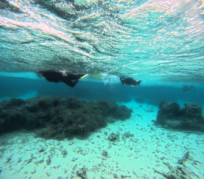 ようこそ荒波体験ツアー