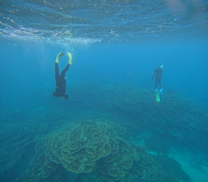 ピストン素潜り