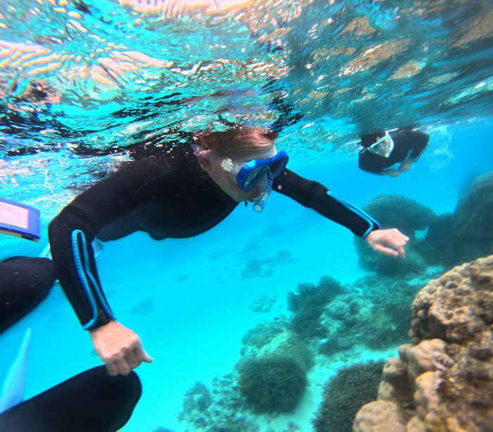 ブランクなし4か月ぶりシュノーケリング