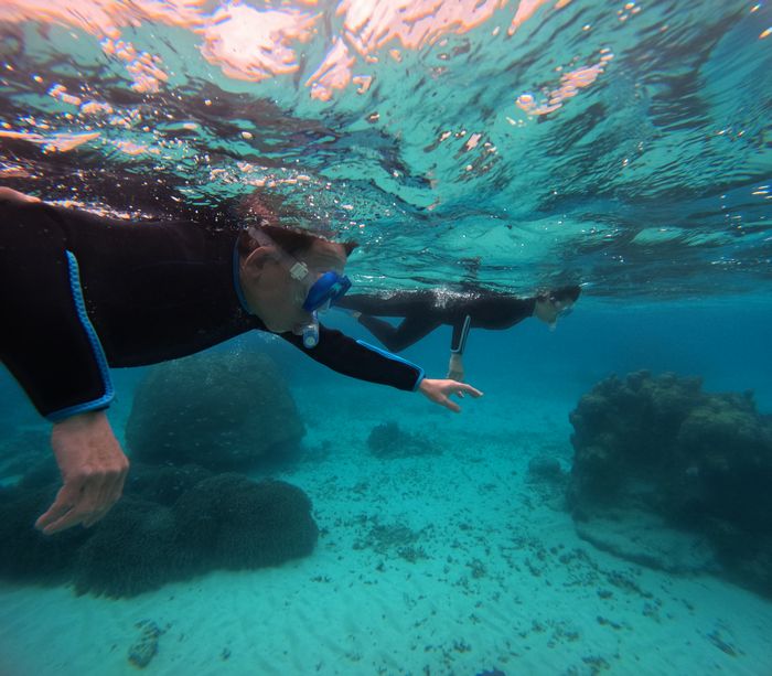 颯爽と泳ぎ始める