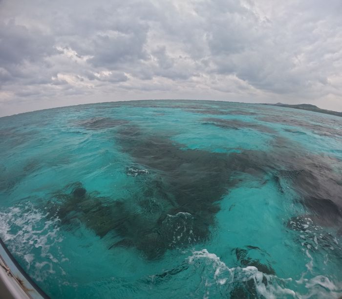 雲なれど、落ち着き始めた海