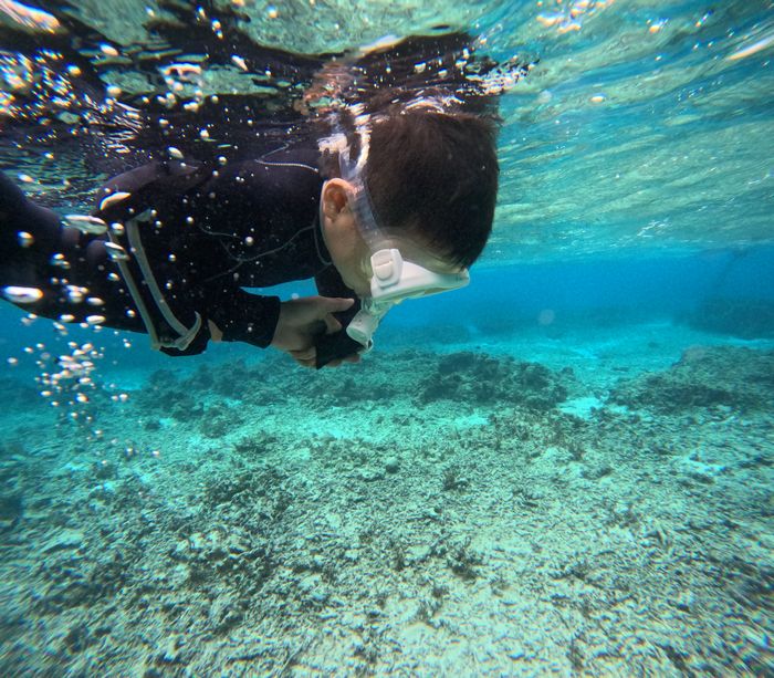 顔をつけてみる。最初は不安あり！