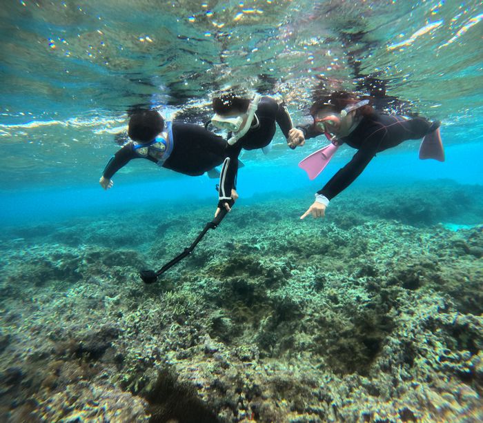 家族みーんなで楽しみましtあ