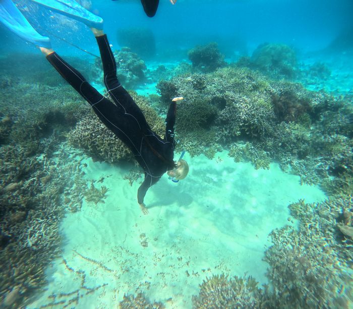 お兄さんもスキンダイビング