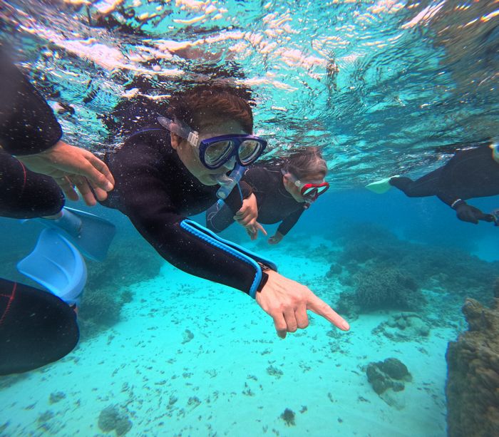 お父さん、お母さん、余裕あり