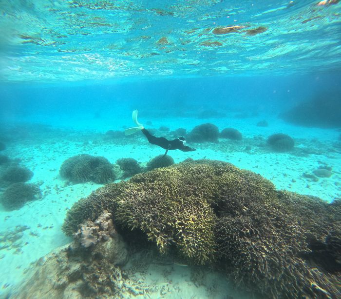 素潜り楽しむお姉さん