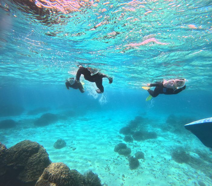 石垣島にどっぷり