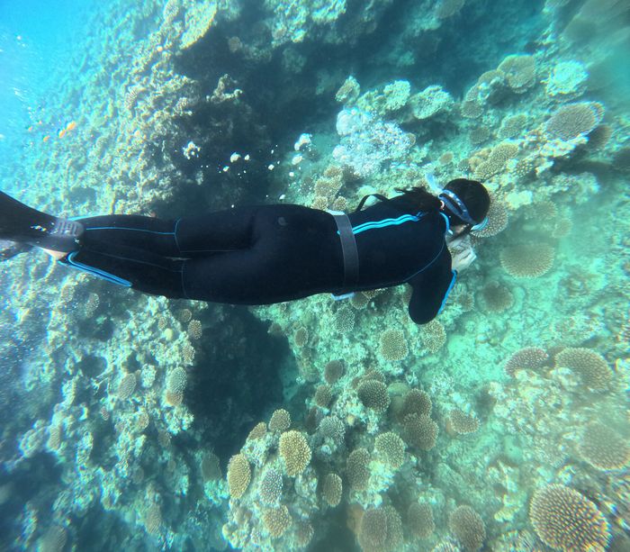 お母さん、ドボンと潜る