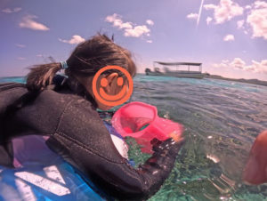 ゾウ組さんの5歳♪小学三年生♪家族で貸切、初めてのシュノーケリング！