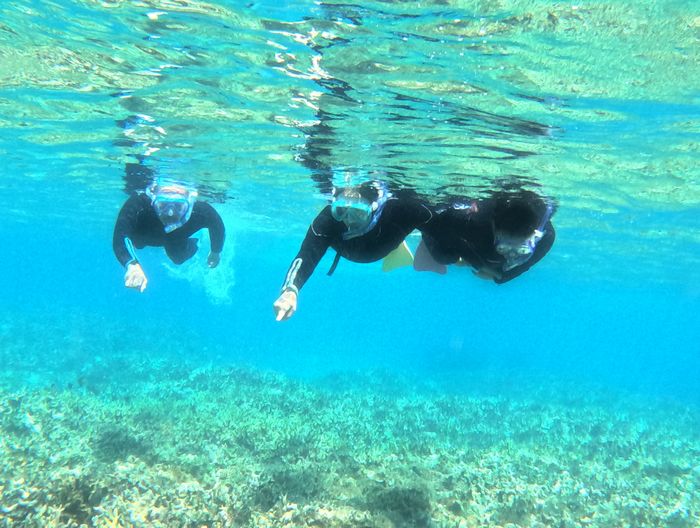 お父さんとお母さんも楽しむ