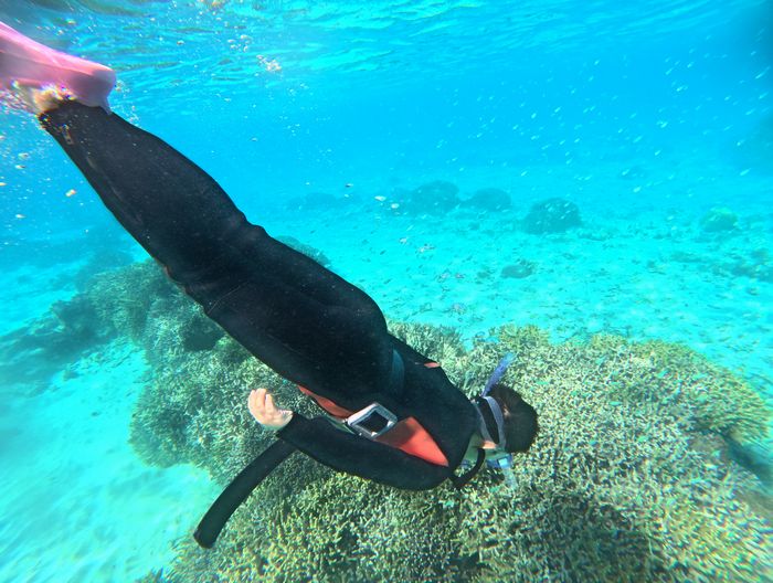 最後は素潜りドボン