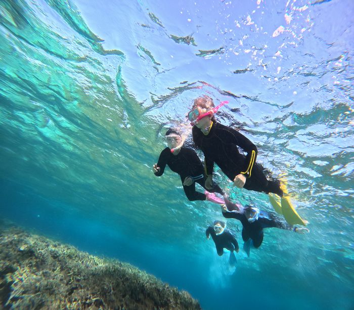颯爽と泳ぎ始めていきます　浅瀬　透明度 　抜群
