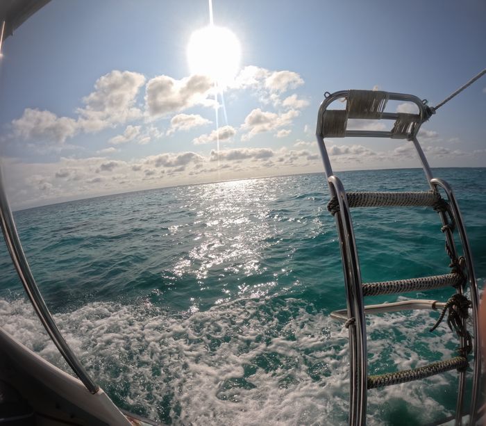 晴れなれどうねり強め