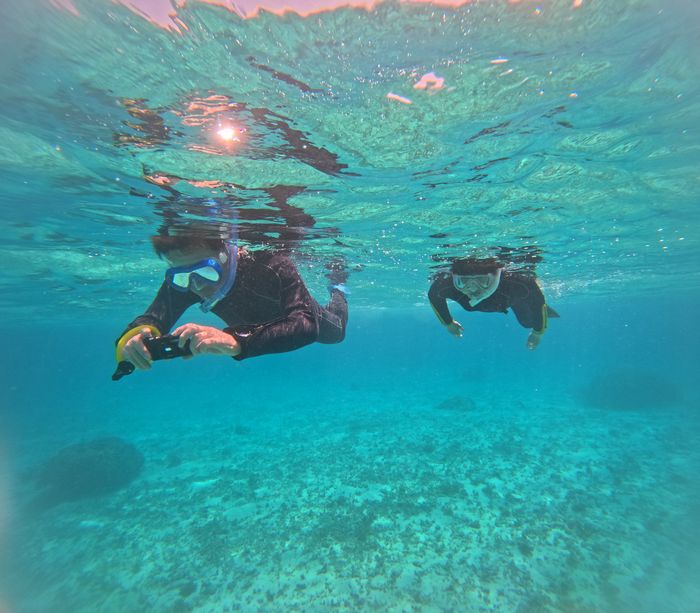 11時30分到着後はシュノーケリング