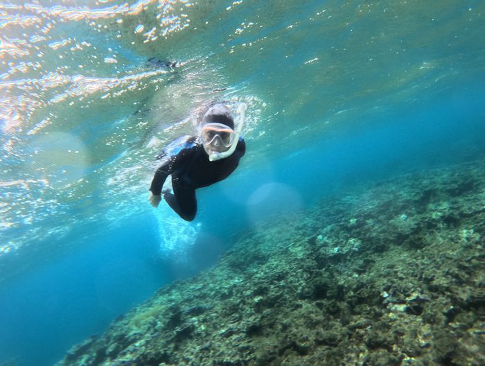 11時30分後はシュノーケリング