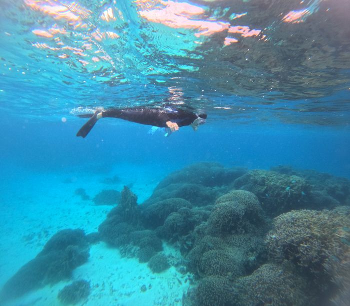 じっくり眺める