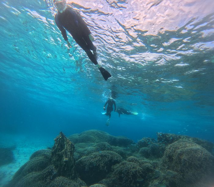 皆さんリピーターさん