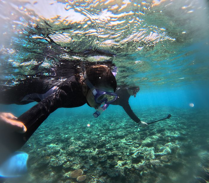 お母さんと泳ぐ