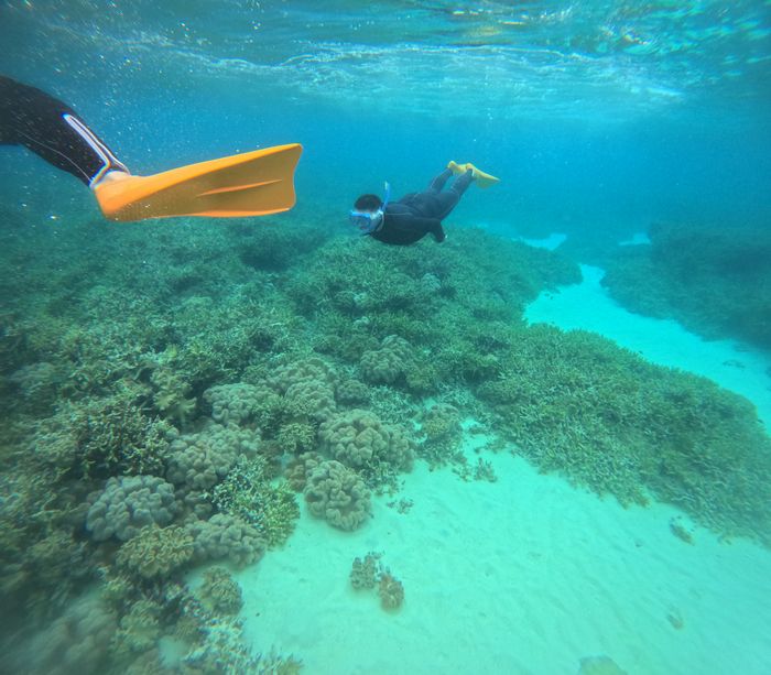 素潜りが始まり