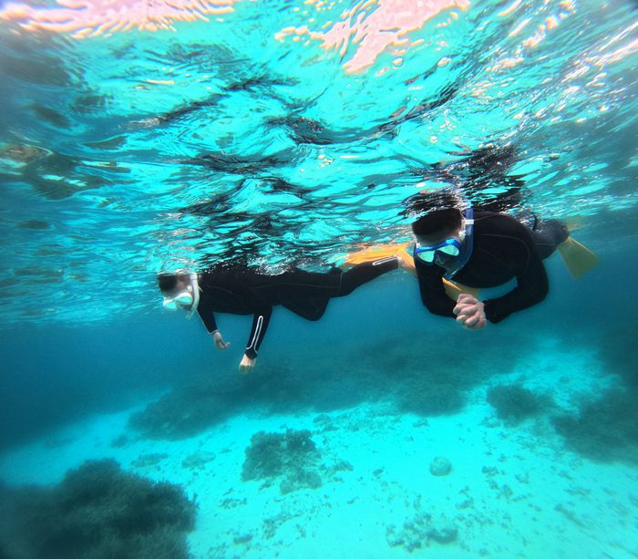 パワフルリピーターさん