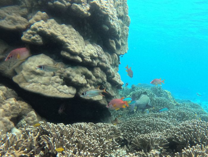 曇りだから見れる風景