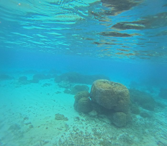 水中世界もクリア