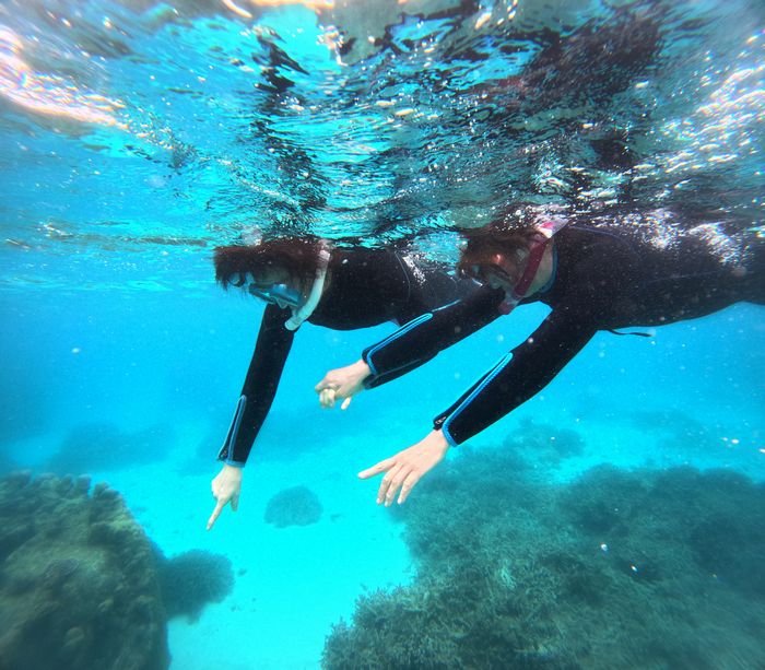 ブランク解消シュノーケリング