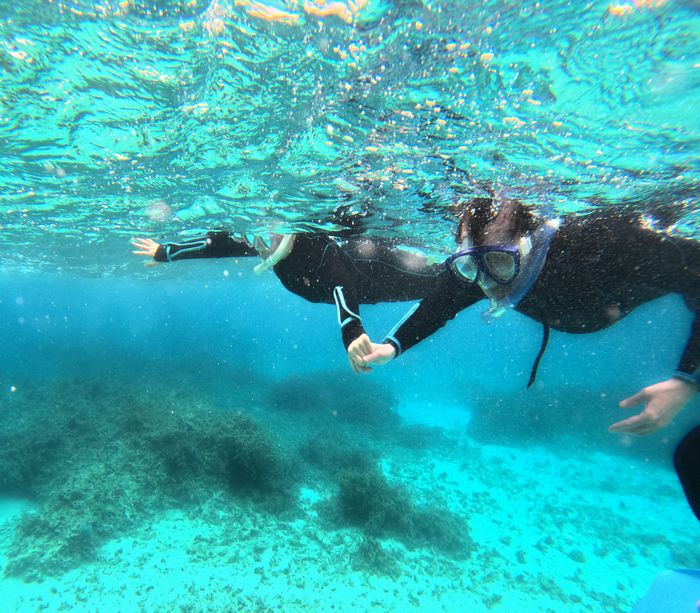 お父さんとお母さんも楽しむ