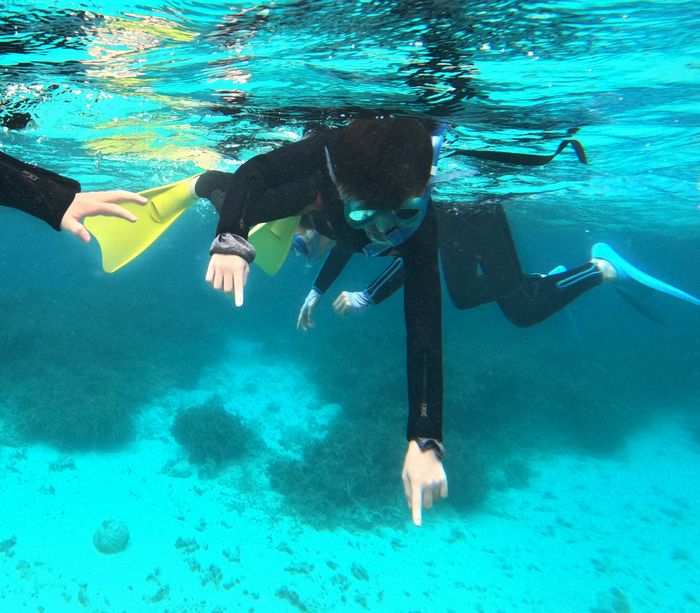 クマノミ見つけて楽しむ、ソウタロウ君