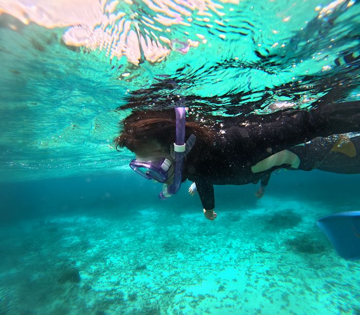 マスクデビューモエ姉さん