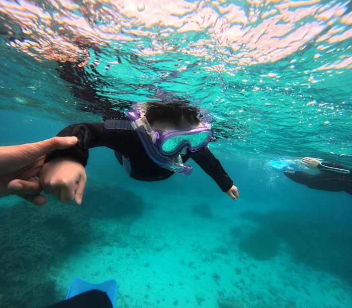 まずは顔をつける練習