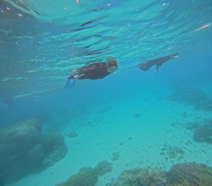 お父さんもお母さんも