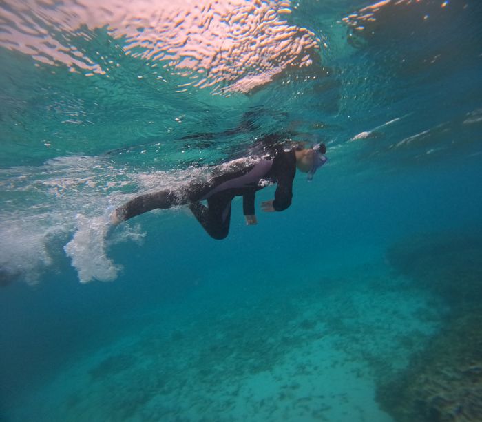 最後は一人で泳ぐ