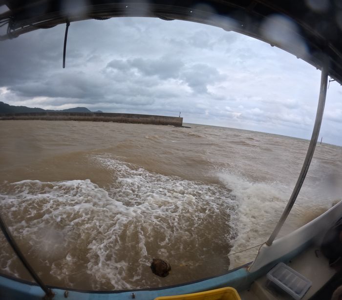 にごにごの海で